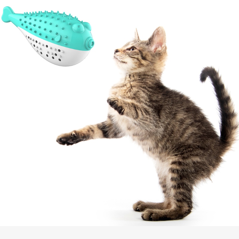 Furjoyz оптом Смешные игрушки игрушки для домашних животных Зубная щетка интерактивная игрушка Портативный кошка Интеллектуальные чистые зубы резиновые Catnip Cat Toy