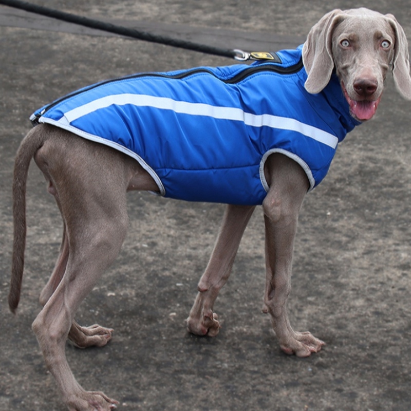 Производитель Оптовая продажа открытый прохладный стиль очень светоотражающие нити собака куртка водонепроницаемые пальто