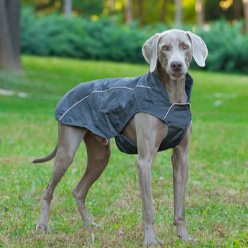 OEM/ODM милая маленькая собака толстовка пальто домашнее животное толстовка щенок пуловер собака ткань оптом собака зимнее пальто