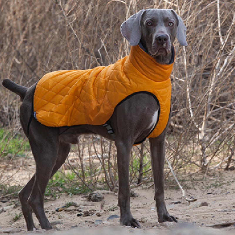 Amazon горячая распродажа новая домашняя одежда собака одежда осенью и зимой утолщенный упругий свитер питомца свитер